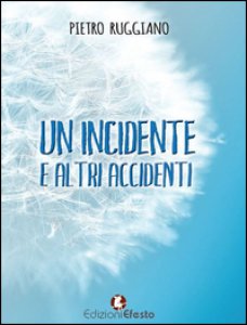 Copertina di 'Un incidente e altri accidenti'