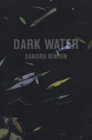 Dark water. Catalogo della mostra (Pisa, 18 marzo-20 maggio 2017). Ediz. italiana e inglese - Binion Sandra