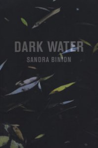 Copertina di 'Dark water. Catalogo della mostra (Pisa, 18 marzo-20 maggio 2017). Ediz. italiana e inglese'