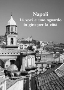Copertina di 'Napoli. 14 voci e uno sguardo in giro per la citt'