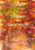 Amarcord e nun m'arricord - Postiglione Guido