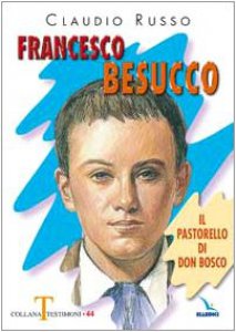 Copertina di 'Francesco Besucco'
