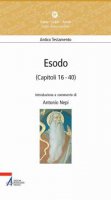 Esodo (capitoli 16-40) - Nepi Antonio