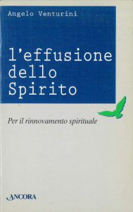 Copertina di 'L'effusione dello Spirito per il rinnovamento spirituale'