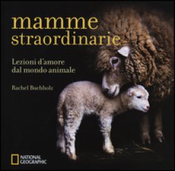 Copertina di 'Mamme straordinarie. Lezioni d'amore dal mondo animale. Ediz. illustrata'