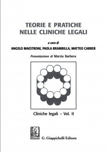 Copertina di 'Teorie e pratiche nelle cliniche legali'