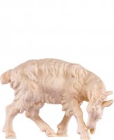 Capra leccante H.K. - Demetz - Deur - Statua in legno dipinta a mano. Altezza pari a 11 cm.