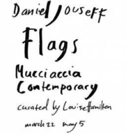 Copertina di 'Flag. Mucciaccia contemporary. Ediz. italiana e inglese'