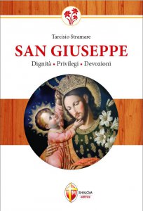 Copertina di 'San Giuseppe dignità, privilegi, devozioni'