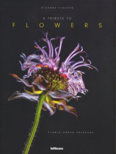 Copertina di 'A tribute to flowers. Plants under pressure. Ediz. tedesca, inglese e francese'