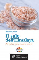 Il sale dell'Himalaya - Maurizio Costi